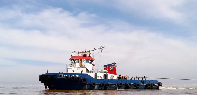 BOMAS LESTARI General Cargo IMO 9495002 photo 2