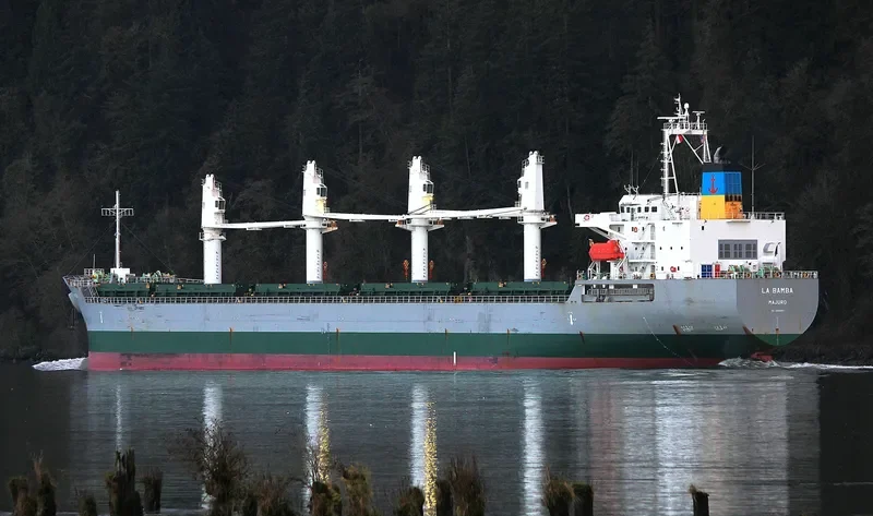 LA BAMBA Bulk Carrier IMO 9495363 photo 2
