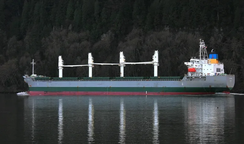 LA BAMBA Bulk Carrier IMO 9495363 photo 3
