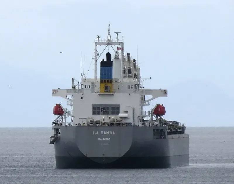LA BAMBA Bulk Carrier IMO 9495363 photo 8
