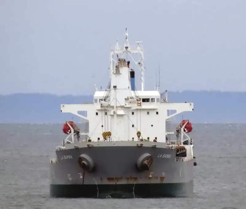 LA BAMBA Bulk Carrier IMO 9495363 photo 9