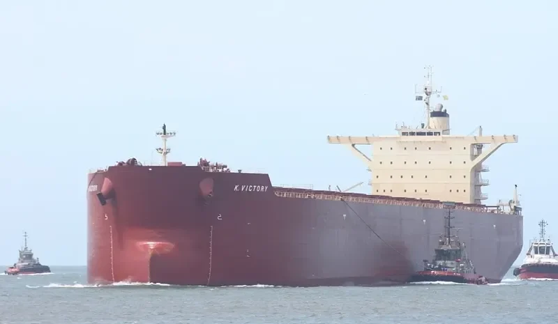 K.VICTORY Bulk Carrier IMO 9495404 photo 4