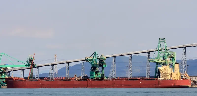 K.CONFIDENCE Bulk Carrier IMO 9495416