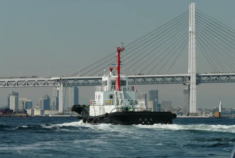 TAKE MARU NO.78 General Cargo IMO 9495492 photo 3
