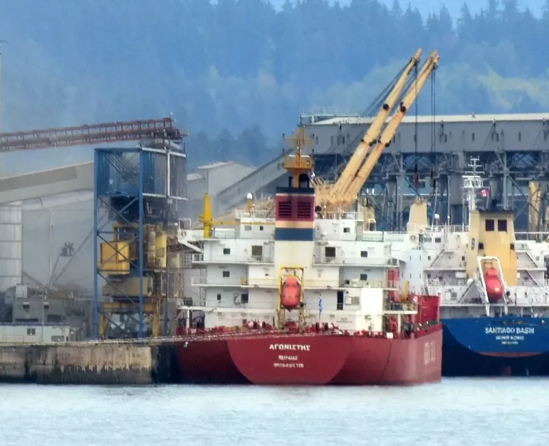 AGONISTIS Bulk Carrier IMO 9495715 photo 3