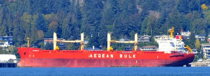 AGONISTIS Bulk Carrier IMO 9495715 photo 6