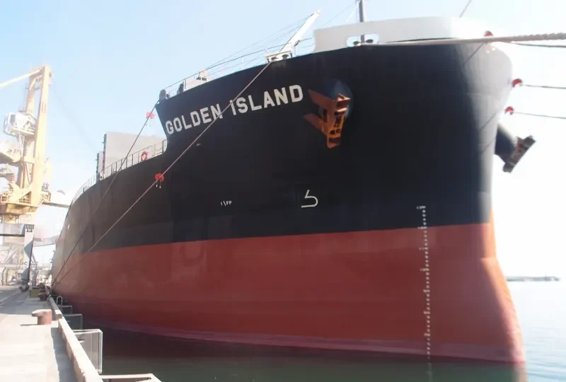 ORION Bulk Carrier IMO 9495935 photo 3