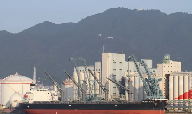 ORION Bulk Carrier IMO 9495935 photo 4