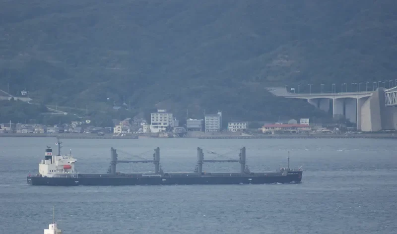 ORION Bulk Carrier IMO 9495935 photo 10