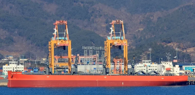 GLOBAL TOMORROW Bulk Carrier IMO 9495947