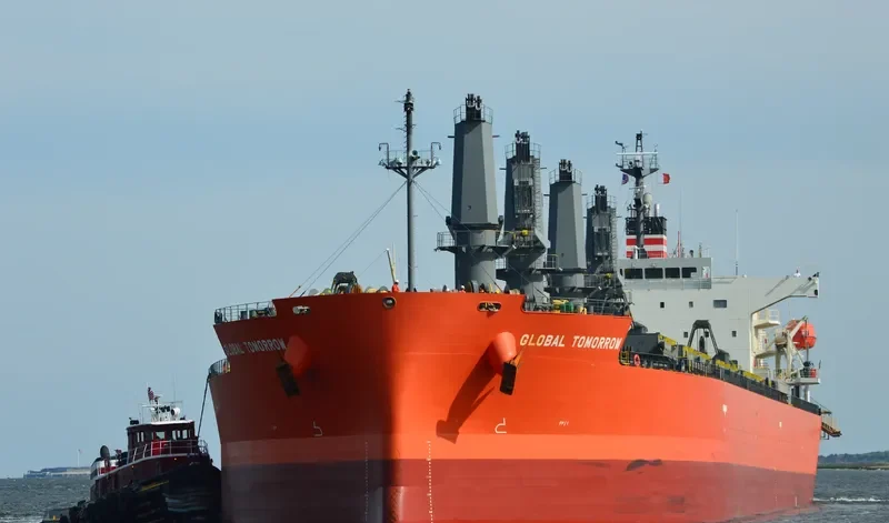 GLOBAL TOMORROW Bulk Carrier IMO 9495947 photo 4