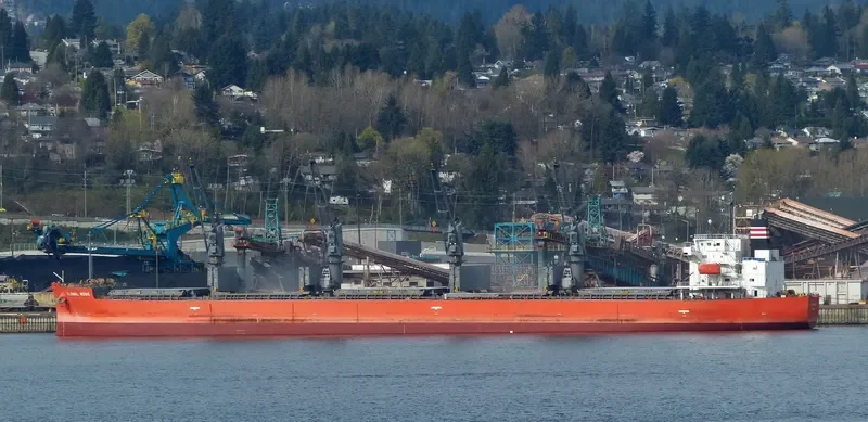 GLOBAL ROSE Bulk Carrier IMO 9495959 photo 7