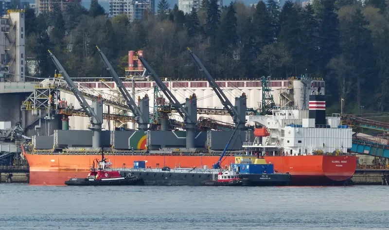 GLOBAL ROSE Bulk Carrier IMO 9495959 photo 9