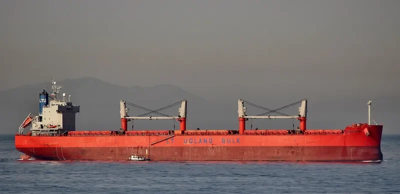 JAG RADHA Bulk Carrier IMO 9496135 photo 2