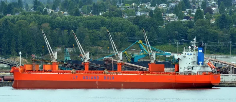 JAG RADHA Bulk Carrier IMO 9496135 photo 3