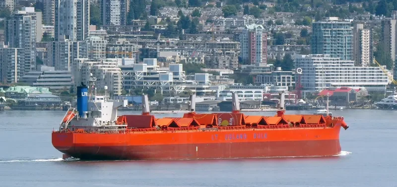JAG RADHA Bulk Carrier IMO 9496135 photo 5