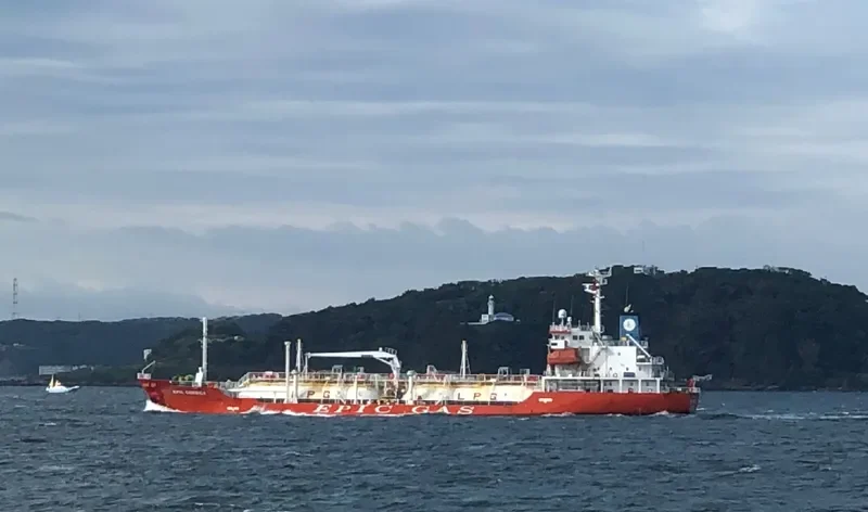 GREEN GAS General Cargo IMO 9496197 photo 3