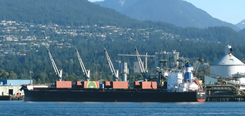 VITA HARMONY Bulk Carrier IMO 9496202 photo 2