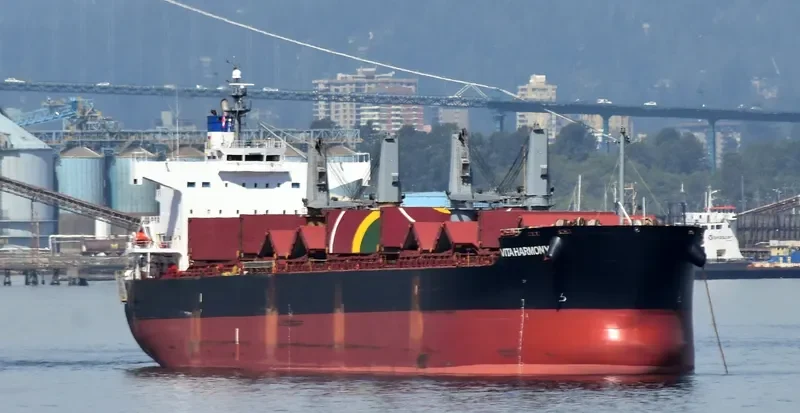 VITA HARMONY Bulk Carrier IMO 9496202 photo 5