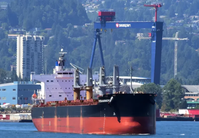 VITA HARMONY Bulk Carrier IMO 9496202 photo 6