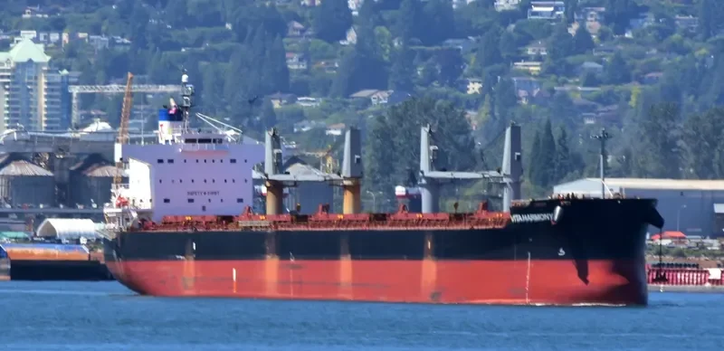 VITA HARMONY Bulk Carrier IMO 9496202 photo 7