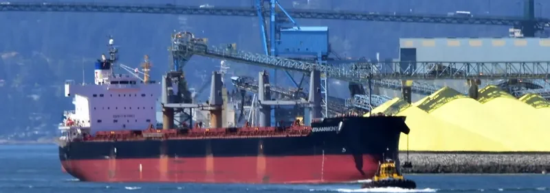 VITA HARMONY Bulk Carrier IMO 9496202 photo 8