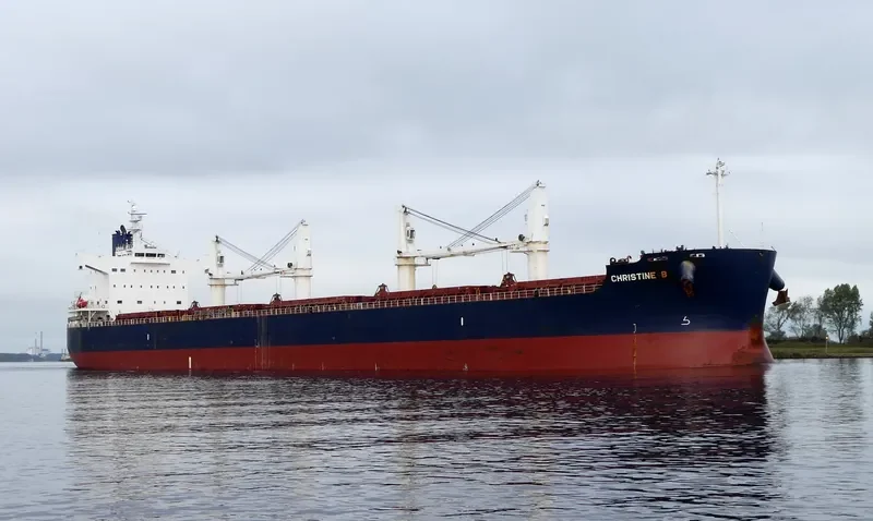 NAVIOS CHRISTINE B Bulk Carrier IMO 9496238 photo 5
