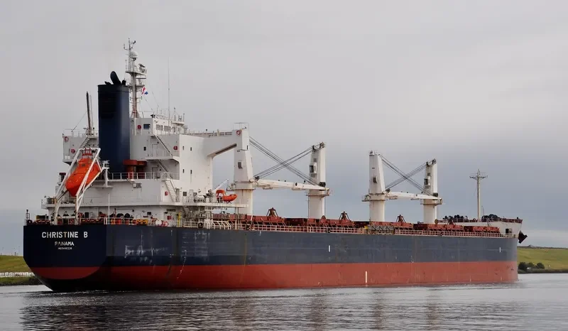 NAVIOS CHRISTINE B Bulk Carrier IMO 9496238 photo 6