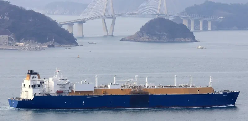 AMALI General Cargo IMO 9496317 photo 3