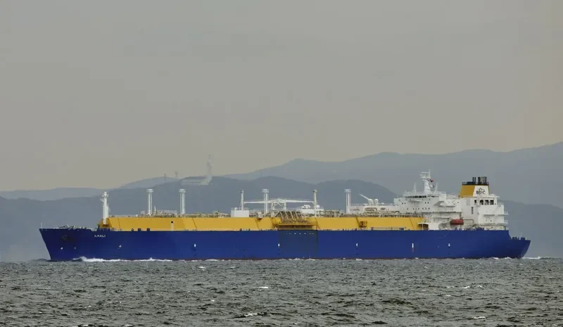 AMALI General Cargo IMO 9496317 photo 4