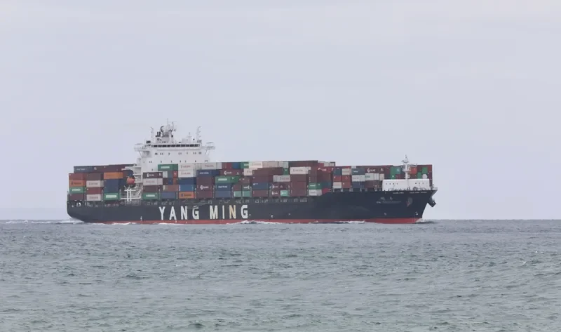 YM EXCELLENCE Container Ship IMO 9496616 photo 7