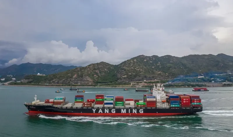 YM EXCELLENCE Container Ship IMO 9496616 photo 8