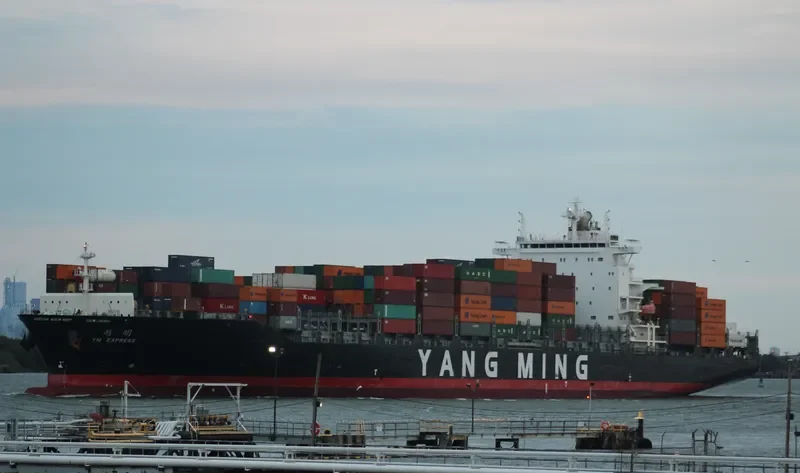 YM EXPRESS Container Ship IMO 9496628 photo 5