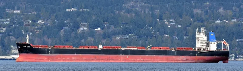 FLAG TOM Bulk Carrier IMO 9496630