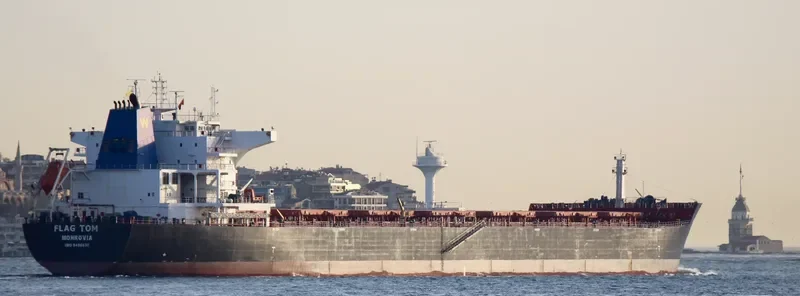 FLAG TOM Bulk Carrier IMO 9496630 photo 6