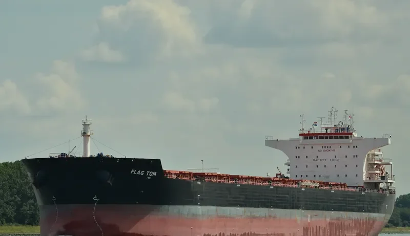 FLAG TOM Bulk Carrier IMO 9496630 photo 8