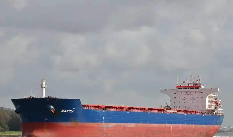 FLAG TOM Bulk Carrier IMO 9496630 photo 10