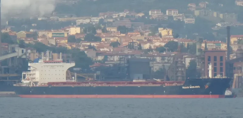 POS LOGISTICS 1 Bulk Carrier IMO 9496680 photo 6
