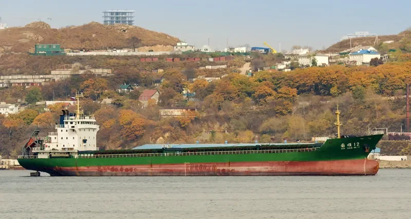 GUO SHUN 12 Bulk Carrier IMO 9496874