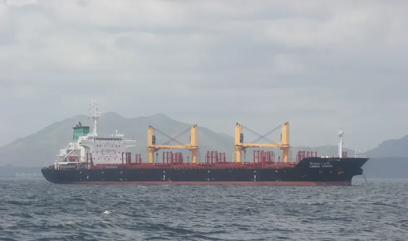 LANNA NAREE Bulk Carrier IMO 9496939 photo 3
