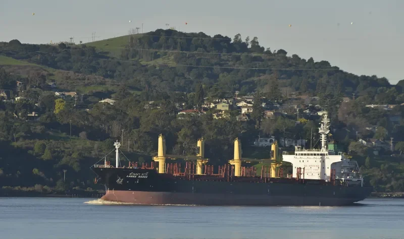 LANNA NAREE Bulk Carrier IMO 9496939 photo 7