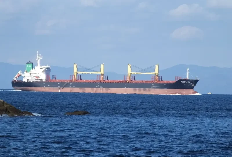 LANNA NAREE Bulk Carrier IMO 9496939 photo 8