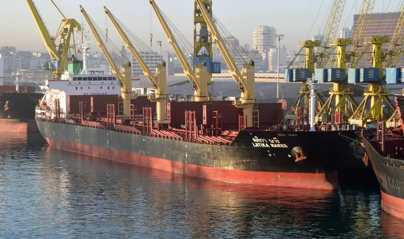 LATIKA NAREE Bulk Carrier IMO 9496941