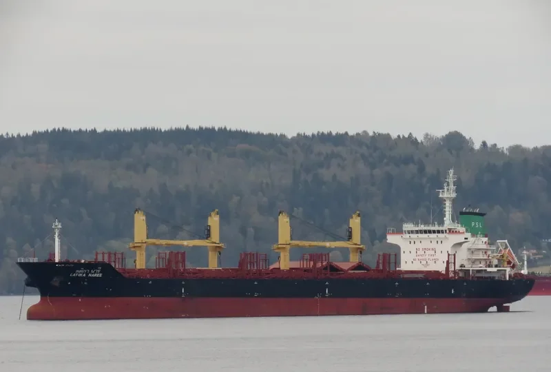 LATIKA NAREE Bulk Carrier IMO 9496941 photo 2