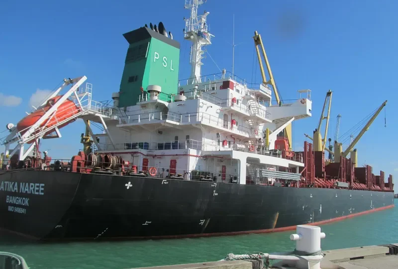 LATIKA NAREE Bulk Carrier IMO 9496941 photo 3