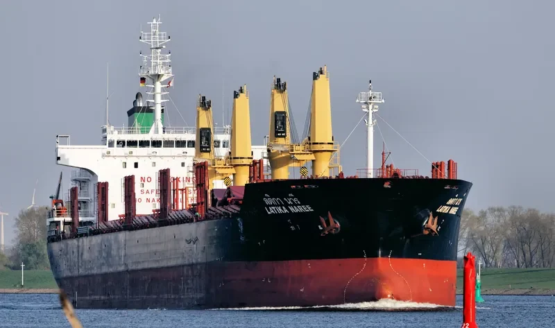 LATIKA NAREE Bulk Carrier IMO 9496941 photo 5