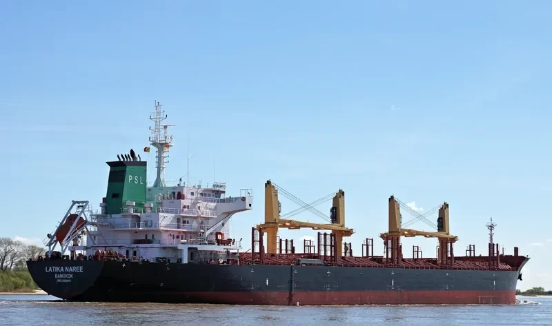 LATIKA NAREE Bulk Carrier IMO 9496941 photo 7