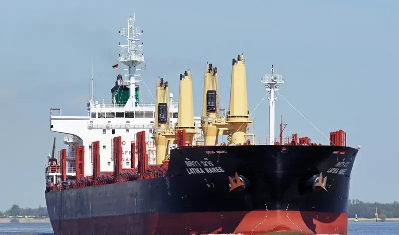 LATIKA NAREE Bulk Carrier IMO 9496941 photo 10
