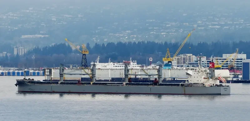 ALBION BAY Bulk Carrier IMO 9496989 photo 9