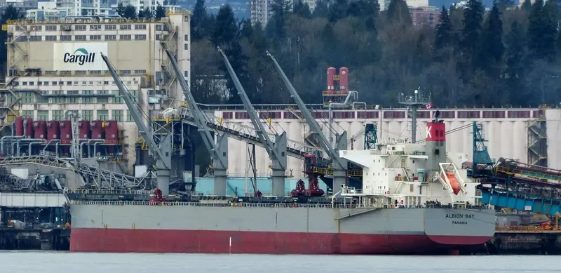 ALBION BAY Bulk Carrier IMO 9496989 photo 10